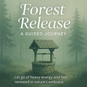 Forest Journey -  Release & Let Go Audio